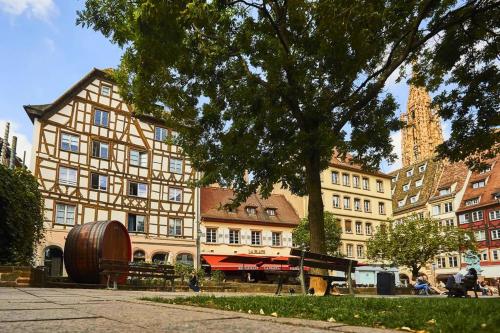 Petit écrin confortable au pied Cathédrale !