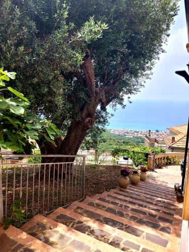 Affacciati sul mare in آسكي مارينا Affacciati sul mare in آسكي مارينا