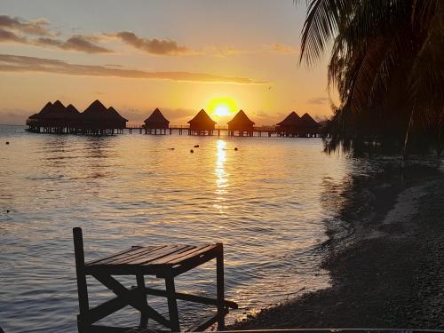 Surrounding environment, HINAMOE LODGE in Rangiroa Surrounding environment, HINAMOE LODGE in Rangiroa
