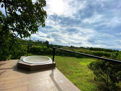 View, AIA Glamtree in La Frontera View, AIA Glamtree in La Frontera