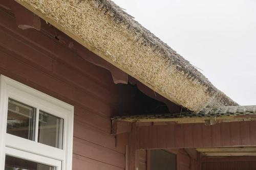 Your getaway home in Jausa küla (Your getaway home in Jausa kula) in Hiiumaa Your getaway home in Jausa küla (Your getaway home in Jausa kula) in Hiiumaa