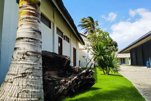 酒店外观, 伊卡尼冲浪度假村 (Ikani Surf Resort) in 帕古普 酒店外观, 伊卡尼冲浪度假村 (Ikani Surf Resort) in 帕古普