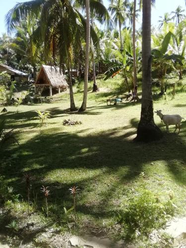 Era's Garden Homestay in Catmon Era's Garden Homestay in Catmon
