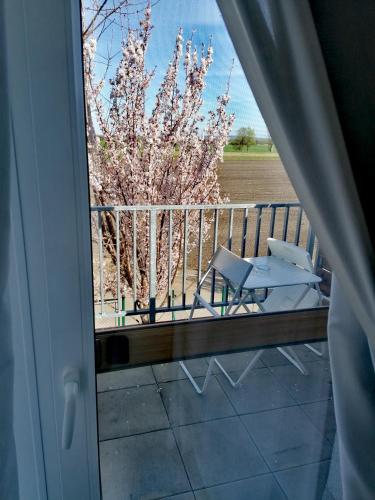 Kilátás, Duplex apartmán Pálava (Duplex apartman Palava) in Dolni Dunajovice Kilátás, Duplex apartmán Pálava (Duplex apartman Palava) in Dolni Dunajovice