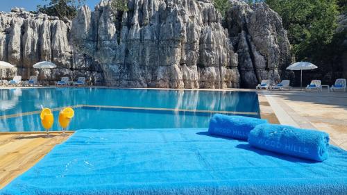 المنطقة المحيطة, Wood Hills Hotel & Resort in ميروبا المنطقة المحيطة, Wood Hills Hotel & Resort in ميروبا