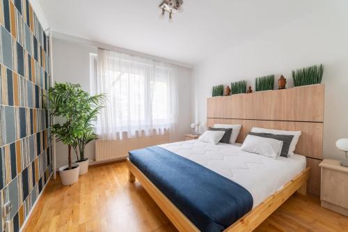 Comfort 28 -- 2-Room Stay Near Park, Netflix & Parking in Мішкольц Comfort 28 -- 2-Room Stay Near Park, Netflix & Parking in Мішкольц