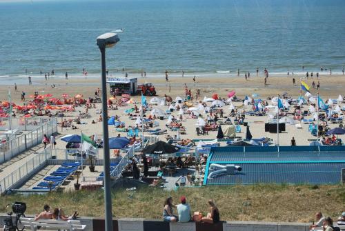 Beach, Picco Bello in Zandvoort Beach, Picco Bello in Zandvoort