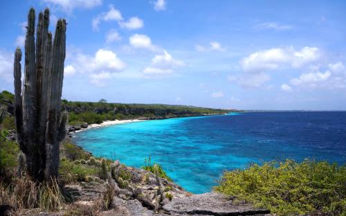 Beach, Bonaire 2 Stay Rincon in Bonaire Beach, Bonaire 2 Stay Rincon in Bonaire
