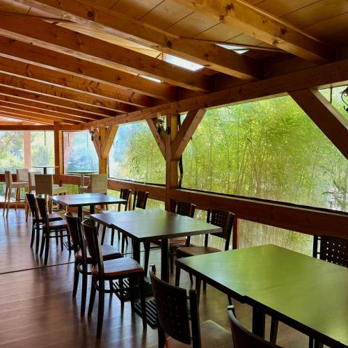 Restaurant, Hotel Avion Bratislava in Bratislava Restaurant, Hotel Avion Bratislava in Bratislava