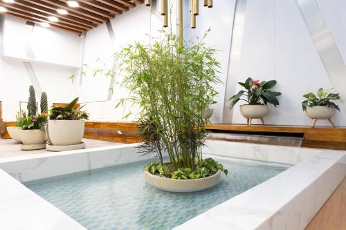 Vestíbulo, Prixma Hotel in Isla San Andrés Vestíbulo, Prixma Hotel in Isla San Andrés