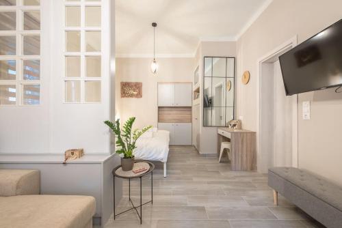 Peacock's Garden Peony