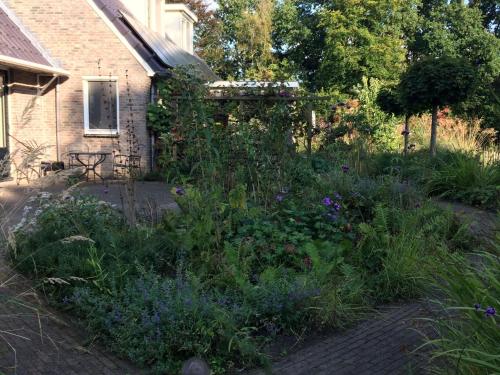 Wyposażenie, Vrijzicht in Zuidwolde Wyposażenie, Vrijzicht in Zuidwolde