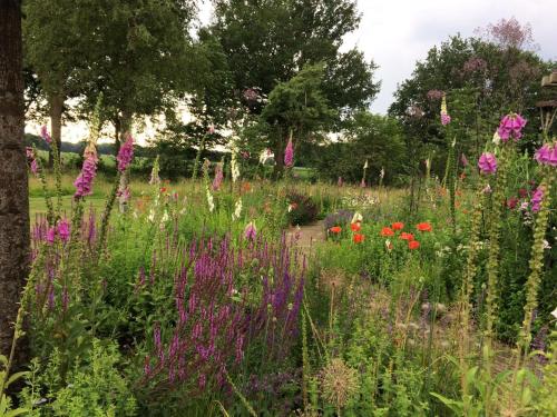 ogród, Vrijzicht in Zuidwolde ogród, Vrijzicht in Zuidwolde