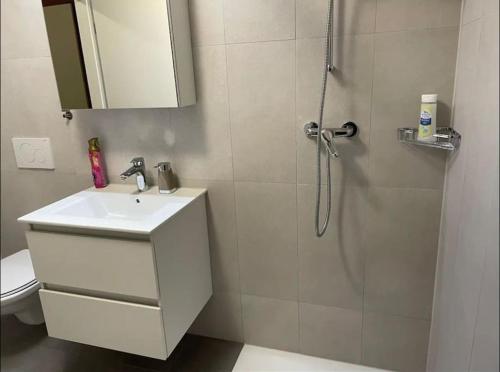 Logement spacieux proche de Lausanne in קריסייר Logement spacieux proche de Lausanne in קריסייר