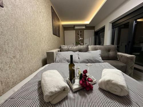 Apartman Little garden near Airport in Dobanovci Apartman Little garden near Airport in Dobanovci