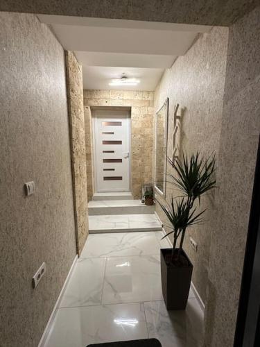 Apartman Little garden near Airport in Dobanovci Apartman Little garden near Airport in Dobanovci
