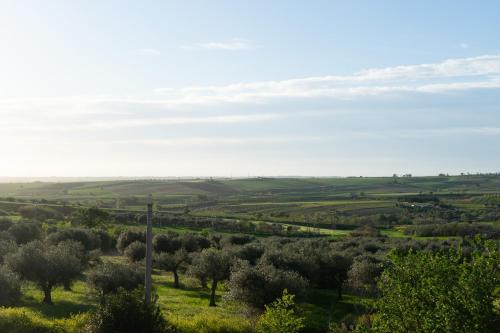 Surrounding environment, Casa di Nonna Linda in Portocannone Surrounding environment, Casa di Nonna Linda in Portocannone