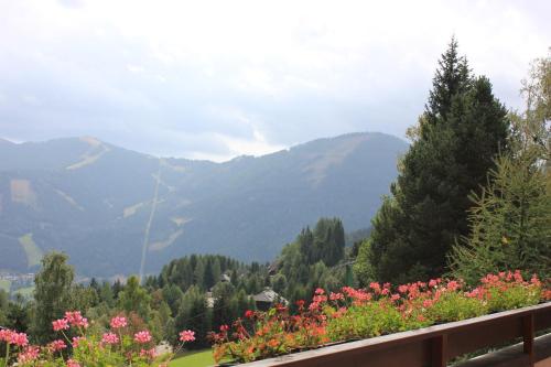 View, Apartments Pfeffermuhle in Bad Kleinkirchheim View, Apartments Pfeffermuhle in Bad Kleinkirchheim