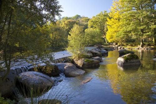 Maison Cosy Rénovée - Puy du Fou (Maison Cosy Renovee - Puy du Fou) in Saint Laurent Sur Sevre Maison Cosy Rénovée - Puy du Fou (Maison Cosy Renovee - Puy du Fou) in Saint Laurent Sur Sevre