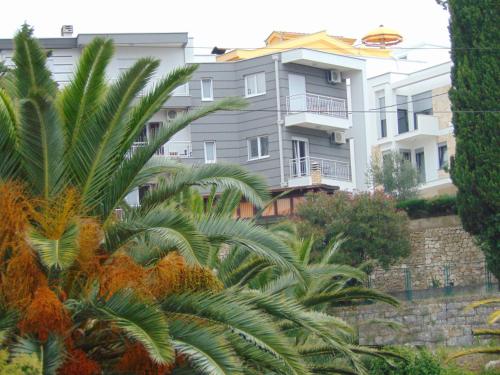 منظر, Apartments Milic-Ulcinj in اولسينج منظر, Apartments Milic-Ulcinj in اولسينج