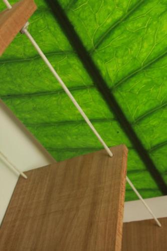 This photo about Froguesthouse shared on HyHotel.com