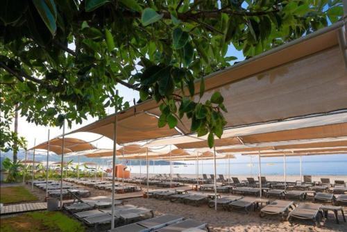 SEAPHORIA BEACH HOTEL & Spa - by Mir'Amor-Ultra All Inclusive in Okurcalar SEAPHORIA BEACH HOTEL & Spa - by Mir'Amor-Ultra All Inclusive in Okurcalar