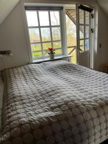 Kallerup Hgard in Thisted Kallerup Hgard in Thisted