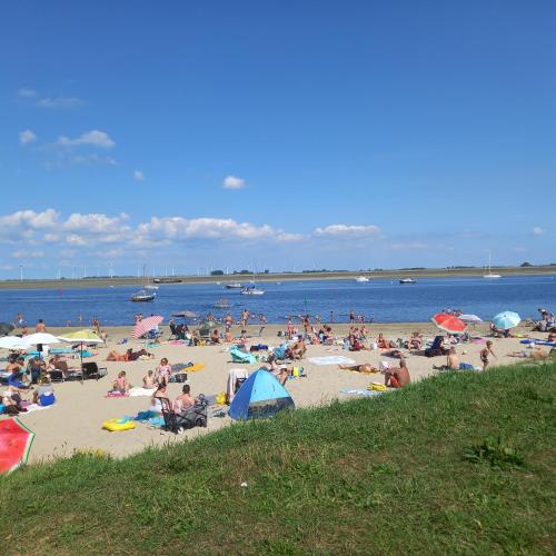 Beach, Vakantiepark Wulpdal in Tholen Beach, Vakantiepark Wulpdal in Tholen