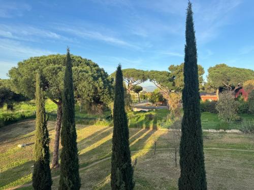 View, Flower Garden House in Monte Porzio Catone View, Flower Garden House in Monte Porzio Catone