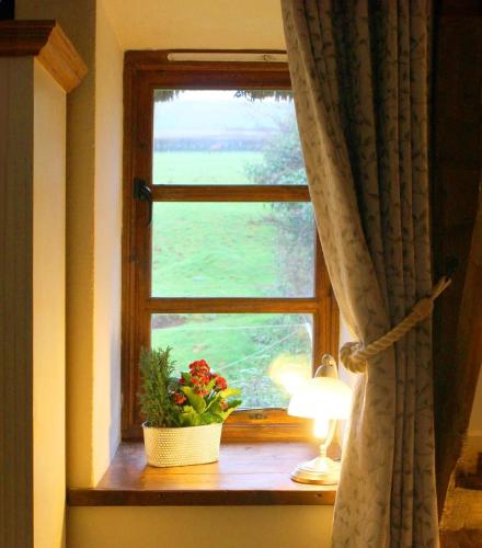 Ferienhaus für 2 Personen ca 50 qm in Stokeinteignhead, England Südküste von England (Ferienhaus fur 2 Personen ca 50 qm in Stokeinteignhead, England Sudkuste von England) in Newton Abbot Ferienhaus für 2 Personen ca 50 qm in Stokeinteignhead, England Südküste von England (Ferienhaus fur 2 Personen ca 50 qm in Stokeinteignhead, England Sudkuste von England) in Newton Abbot