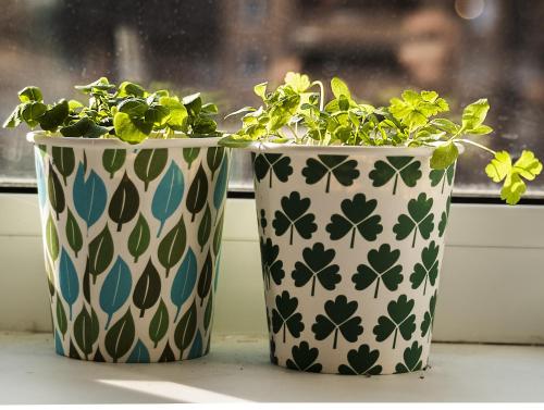 This photo about Neva Apartment shared on HyHotel.com