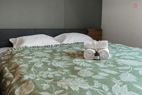 Baneasa Lake Large and Cozy Apartment