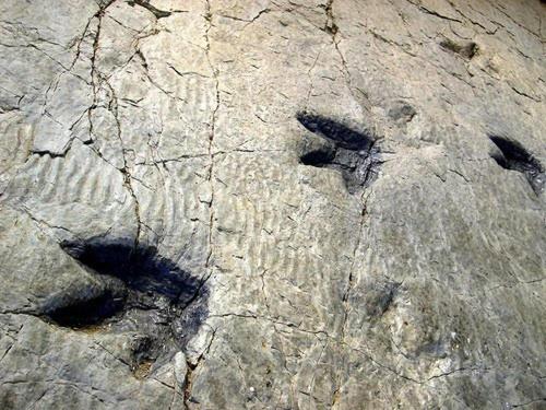 This photo about Hotel Rios shared on HyHotel.com