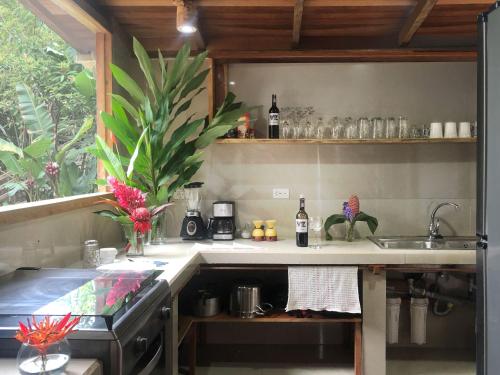 Konyha, Coatí Lodge Misahuallí - FamiliyJungleParadise (Coati Lodge Misahualli - FamiliyJungleParadise) in Puerto Misahualli Konyha, Coatí Lodge Misahuallí - FamiliyJungleParadise (Coati Lodge Misahualli - FamiliyJungleParadise) in Puerto Misahualli