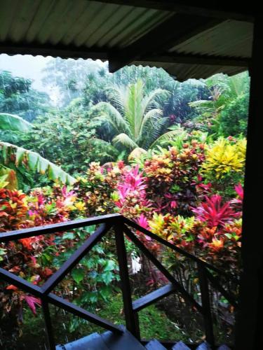 Hibiscus Valley Inn in Marigot Hibiscus Valley Inn in Marigot