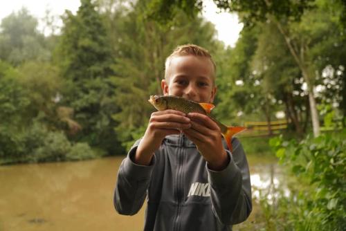 Rust een weinig aan de Vecht in ดิฟเฟเลน Rust een weinig aan de Vecht in ดิฟเฟเลน
