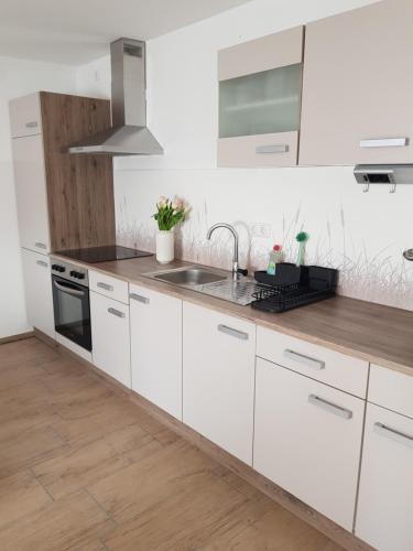 مطبخ, Ferienwohnung Alte Landstube in هارتجينوالد مطبخ, Ferienwohnung Alte Landstube in هارتجينوالد
