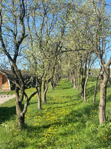 Livada Luxurious Bungalow in Petrestii De Jos Livada Luxurious Bungalow in Petrestii De Jos