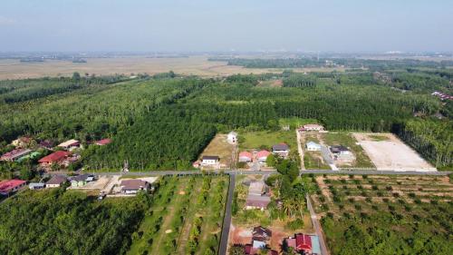Minimalist Homestay D Pokok Sena in Langgar Minimalist Homestay D Pokok Sena in Langgar
