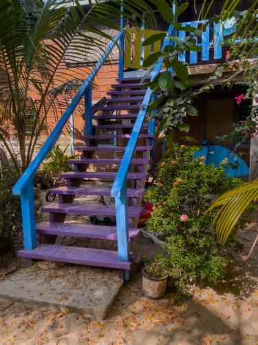 Vista exterior, Anda Di Hows Hostel in Placencia Vista exterior, Anda Di Hows Hostel in Placencia