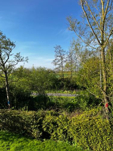 Surrounding environment, Apartment Bakenweg fur maximal 4 Personen in Norden Surrounding environment, Apartment Bakenweg fur maximal 4 Personen in Norden