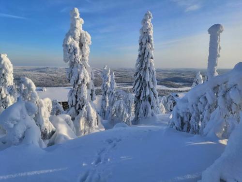 Surrounding environment, Viihtyisa ja tilava mokki, Pytkykaksonen B in Syote Surrounding environment, Viihtyisa ja tilava mokki, Pytkykaksonen B in Syote