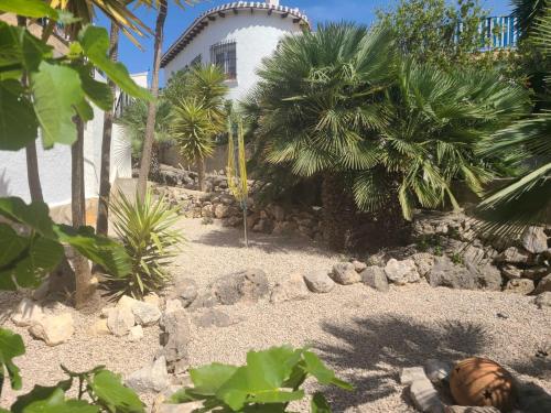 Flor de Azahar in Monte Pego Flor de Azahar in Monte Pego