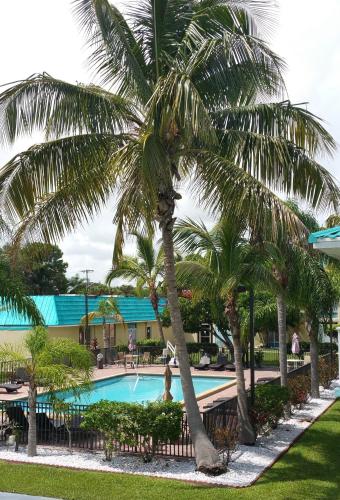 游泳池, 皮爾斯堡中城戴斯酒店 (Days Inn by Wyndham Fort Pierce Midtown) in 皮爾斯堡 (FL) 游泳池, 皮爾斯堡中城戴斯酒店 (Days Inn by Wyndham Fort Pierce Midtown) in 皮爾斯堡 (FL)