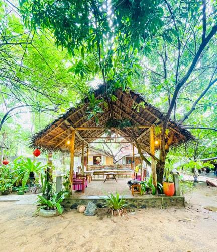 花园, Rivinu Place Arugambay in 阿鲁干海滩旅馆 花园, Rivinu Place Arugambay in 阿鲁干海滩旅馆