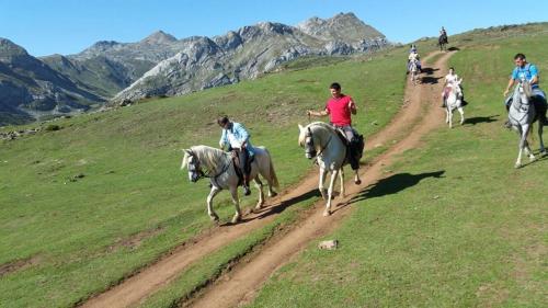 This photo about Apartamentos Andrea shared on HyHotel.com