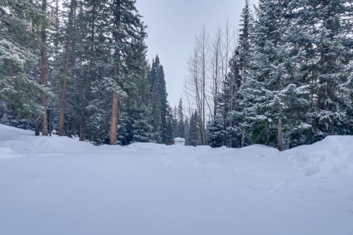 Mountain Cabin 15 Mi to Breckenridge Ski Resort! in Блу ривър Mountain Cabin 15 Mi to Breckenridge Ski Resort! in Блу ривър