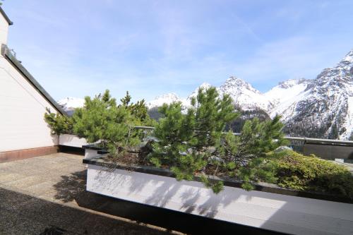 景色, Lorez 5E by Arosa Holiday in アローザ 景色, Lorez 5E by Arosa Holiday in アローザ