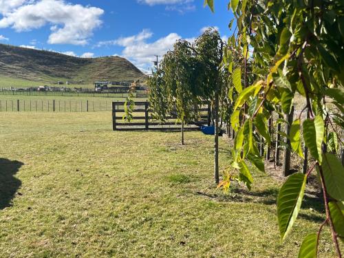 puutarha, Pohokura Farmstay in Taihape puutarha, Pohokura Farmstay in Taihape