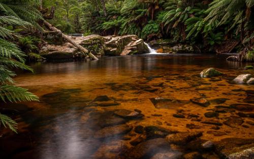 Surrounding environment, The Gardener's Cottage on Warrentinna in Prospect Vale Surrounding environment, The Gardener's Cottage on Warrentinna in Prospect Vale